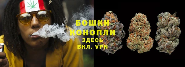 ECSTASY Дмитриев