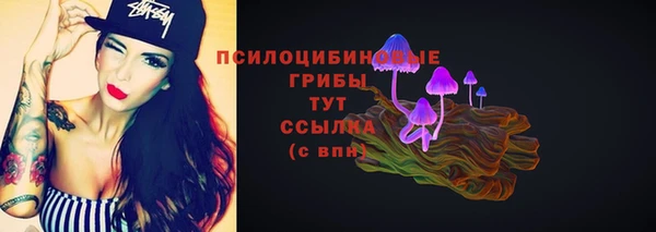 мяу мяу кристалл Дмитров