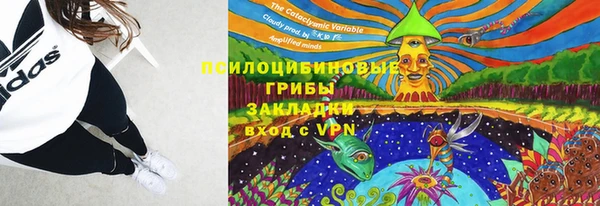 мяу мяу кристалл Дмитров