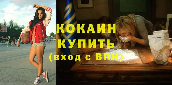 ECSTASY Дмитриев