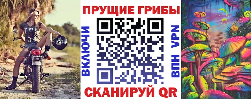 Галлюциногенные грибы Cubensis  Павловский Посад 